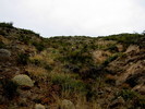 photo thumbnail #15