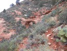 photo thumbnail #3