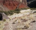 photo thumbnail #12