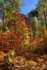 photo thumbnail #13