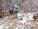 photo thumbnail #10