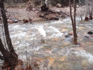 photo thumbnail #11