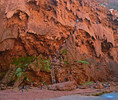 photo thumbnail #4