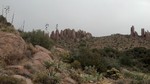photo thumbnail #13