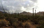 photo thumbnail #1