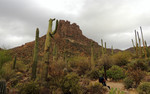 photo thumbnail #6