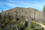 photo thumbnail #6