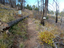 photo thumbnail #12
