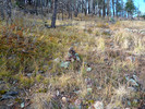 photo thumbnail #13