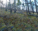 photo thumbnail #14