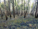 photo thumbnail #15