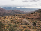 photo thumbnail #5