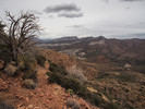 photo thumbnail #7