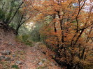 photo thumbnail #12
