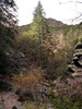 photo thumbnail #13