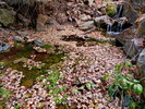 photo thumbnail #15