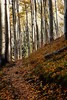 photo thumbnail #15