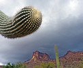 photo thumbnail #5