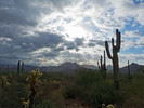 photo thumbnail #8