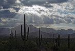 photo thumbnail #12
