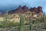 photo thumbnail #14