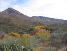 photo thumbnail #1
