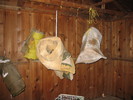 photo thumbnail #8