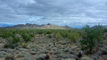 photo thumbnail #15