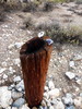 photo thumbnail #10