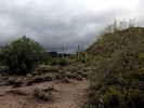 photo thumbnail #11