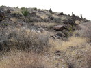 photo thumbnail #7