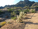 photo thumbnail #2