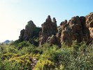 photo thumbnail #2