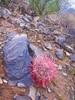 photo thumbnail #3