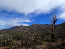 photo thumbnail #1