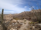 photo thumbnail #2
