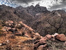 photo thumbnail #10