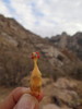 photo thumbnail #11