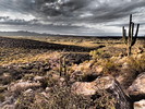 photo thumbnail #13