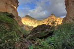 photo thumbnail #3