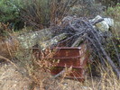 photo thumbnail #7