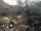 photo thumbnail #13