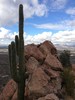 photo thumbnail #4