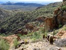 photo thumbnail #7