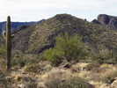 photo thumbnail #11