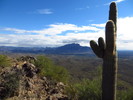 photo thumbnail #14