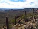 photo thumbnail #15