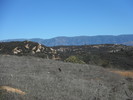 photo thumbnail #9