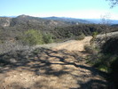photo thumbnail #10