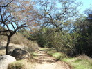 photo thumbnail #11
